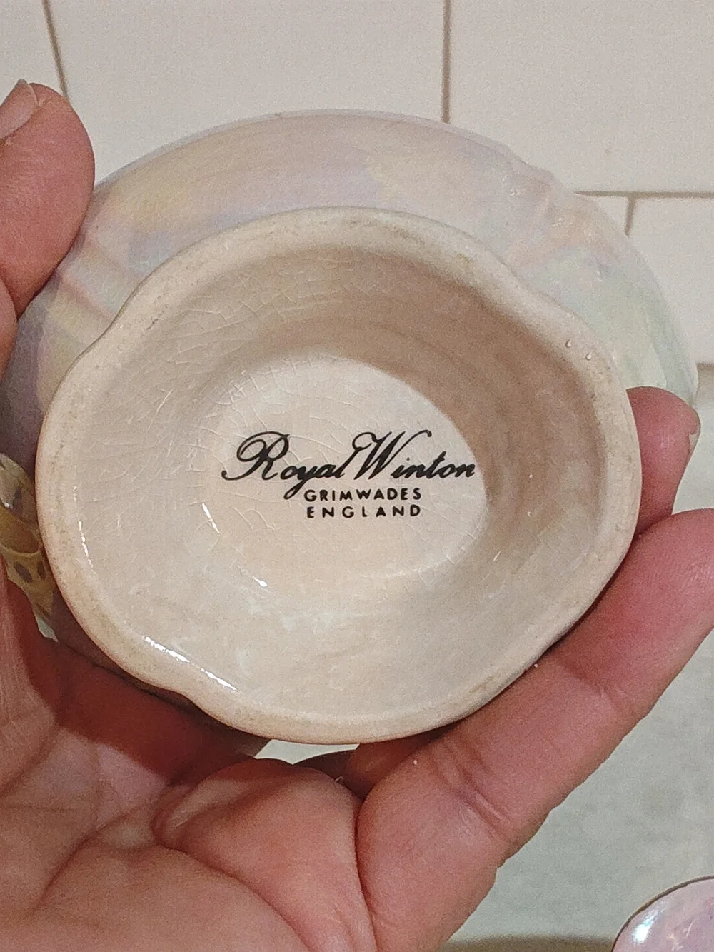 royal wilton elegant iridescent